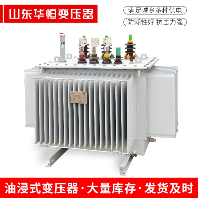 S13-10000/35共青城共青城共青城电力变压器